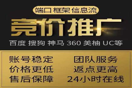 百度移动端应用推广策略探讨